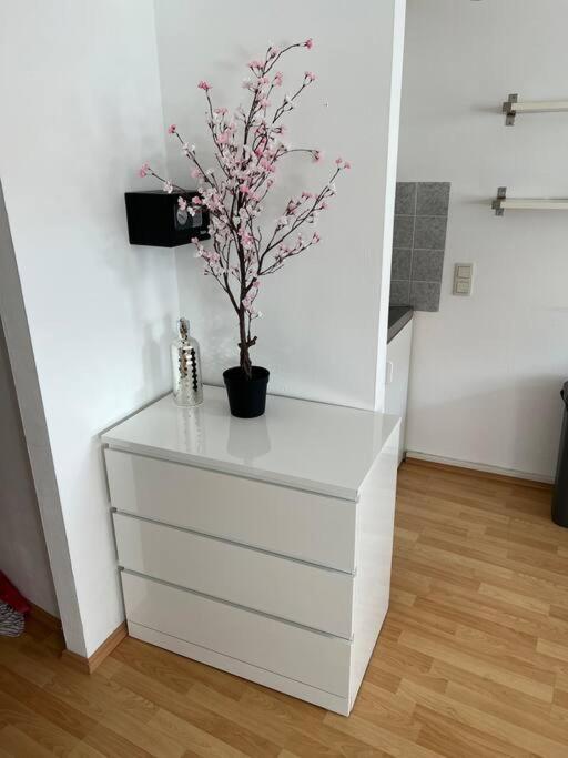Kleines Apartment Im Zentrum Von Wuerzburg المظهر الخارجي الصورة