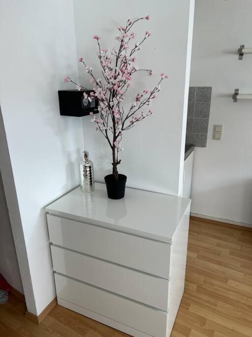 Kleines Apartment Im Zentrum Von Wuerzburg المظهر الخارجي الصورة